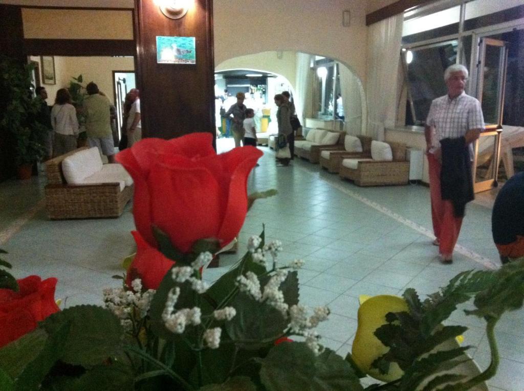 סאן דומינו Hotel Eden מראה חיצוני תמונה