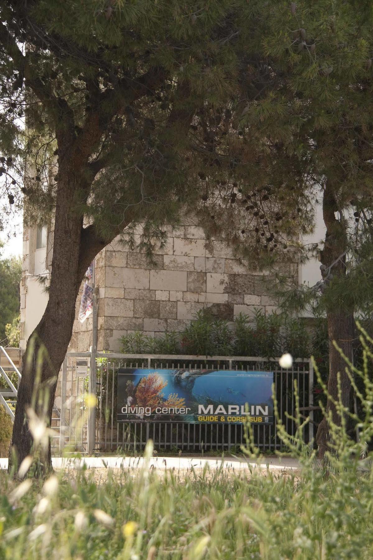 סאן דומינו Hotel Eden מראה חיצוני תמונה